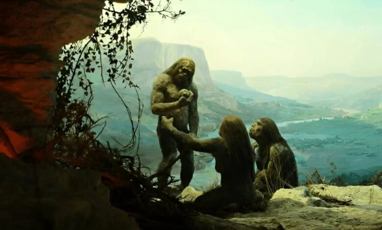 کشف تازه:  یک میلیون سال پیش بشریت در آستانه نابودی بود / تنها 1280 انسان باقی مانده بود